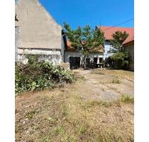Kleines Bauernhaus mit größerer Scheune und Garten in Rheinhessen - Dorn-Dürkheim
