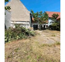 Kleines Bauernhaus mit größerer Scheune und Garten in Rheinhessen - Dorn-Dürkheim