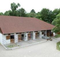 2 Zimmer - Wohnung auf Pferdehof zu Vermieten - Böblingen Dagersheim