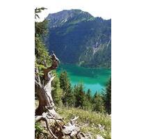 Tirol Lechtal❤️⛰️ Hunde willkommen ‼️‼️ - Selters (Taunus)