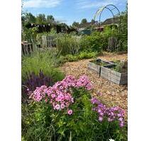 Schrebergarten abzugeben KGV Sonniges Land - Braunschweig Wabe-Schunter-Beberbach