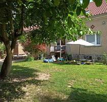 3-Raum-Wohnung mit Gartennutzung - Mirow