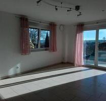 1 Zimmer Appartement für 1 Person - Riedlingen