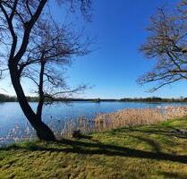 ab 6.9.25 Angeln am Kiebitzsee Urlaub im Bungalow - Falkenberg/Elster