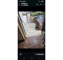 Haus mit kleinem Garten - 850,00 EUR Kaltmiete, ca.  120,00 m² in Contwig (PLZ: 66497)