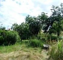 Freizeitfläche Gartenfläche zur Pacht - Biberach an der Riß