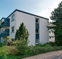 Frisch renovierte 3-Zimmer-Erdgeschosswohnung! - Osnabrück Dodesheide