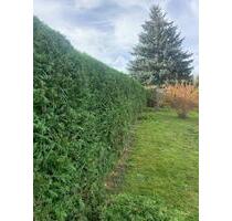 Garten abzugeben - DRINGLICH - 600,00 EUR Kaltmiete, ca.  0,00 m² in Sohland an der Spree (PLZ: 02689)