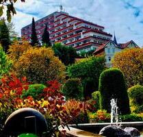 HARZ Traum Urlaub FEWO Auszeit Wandern bis 2 Pers 49€ p.N. incl. - Bad Grund (Harz)