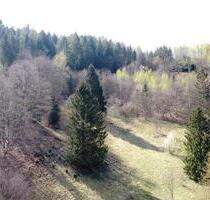 Kleine Landwirtschaftsfläche in Bad Grund - nahe Wohnsiedlung - Bad Grund (Harz)