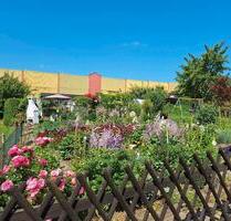 Wunderschöner Garten mit massiver Laube - Schkeuditz