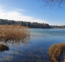 Charmante 2-Zimmer-Wohnung in idyllischer Lage - Petershagen/Eggersdorf