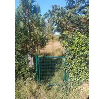 Gartengrundstück Rüsselsheim Freizeit Garten Königstädten - Rüsselsheim am Main