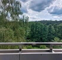 Helle 3-Zimmer-Wohnung mit Einbauküche sowie Schwimmbad und Sauna - Bayreuth Altstadt