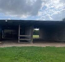 Offenstall mit Weide - 200,00 EUR Kaltmiete, ca.  0,00 m² in Düren (PLZ: 52353) Mariaweiler-Hoven