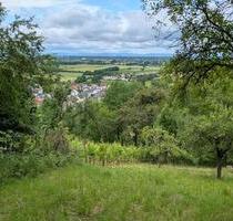 Gartengrundstück zu verpachten - 400,00 EUR Kaltmiete, ca.  0,00 m² in Weinheim (PLZ: 69469)