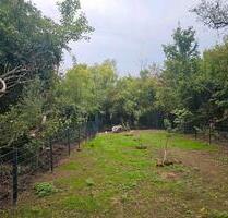 gartengrundstück - 100,00 EUR Kaltmiete, ca.  0,00 m² in Linz am Rhein (PLZ: 53545)