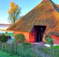 Spätsommer: Wundervolles Strandhaus direkt am See, Ferienhaus mit Boot & Kanu, nahe Ostsee, Wismar, Schwerin, Seenplatte, Mecklenburg, Insel Poel, Boltenhagen, Lübeck, Ferienwohnung