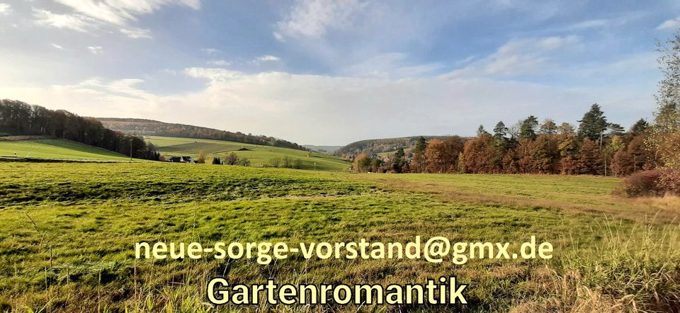 Naturnaher Pachtgarten in angenehm ruhiger Lage (Markersbach) - Pirna