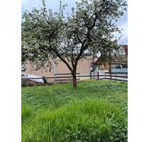 Zweifamilienhaus auch als EFH ohne Umbau möglich zu verkaufen - Brotterode-Trusetal