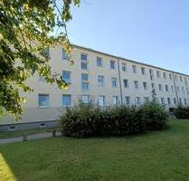 2 Raum Wohnung in Prohn - 357,00 EUR Kaltmiete, ca.  50,90 m² in Prohn (PLZ: 18445)