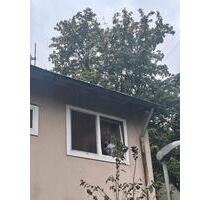 2 Eigentumswohnungen im 4 Parteien Haus 1 Etage - Herne Wanne