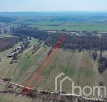 Kompakte Wald- und Grünlandfläche ca. 0,6 im nördlichen Gemeindegebiet von Sangerhausen