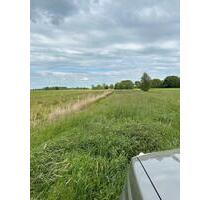 Grünland zum abmähen - 150,00 EUR Kaltmiete, ca.  0,00 m² in Hemmoor (PLZ: 21745)