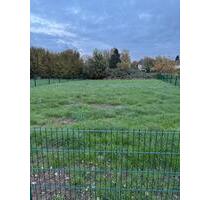 Garten zur individuellen Nutzung - Gelsenkirchen Gelsenkirchen-Mitte