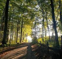 Freizeitgrundstück mit Bachlauf zur individuellen Gestaltung - Ruppichteroth