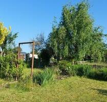 Kleingarten im KGV Bodenreform Limbach-Oberfrohna