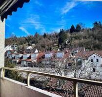 1-Zimmer Wohnung in Esslingen -frisch saniert, zentralliegend - Esslingen am Neckar