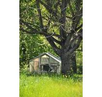 Kleingarten in Gartenanlage 