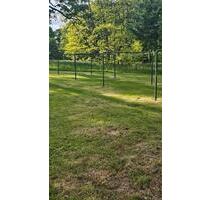 Mietwohnung - 525,00 EUR Kaltmiete, in Bischofswerda (PLZ: 01877)