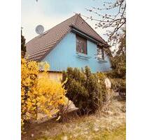 Tolles freistehendes Einfamilienhaus, in guter Lage - Fredersdorf-Vogelsdorf