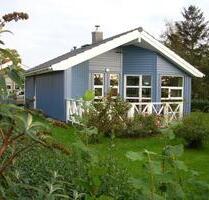 Ferienhaus Ostsee 4 P 80m Strand Meerblick Hunde Wlan Sauna Kamin - Gelting