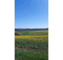 Bauernhaus - 389.000,00 EUR Kaufpreis, ca.  800,00 m² in Stadtroda (PLZ: 07646)