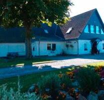 Ferienwohnung Nähe Stralsund Rügen Ostsee - Steinhagen