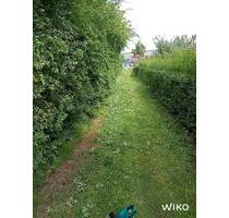 Grundstücke in Malchin (MV) - 14,00 EUR Kaltmiete, ca.  0,00 m² in Kleinmachnow (PLZ: 14532)