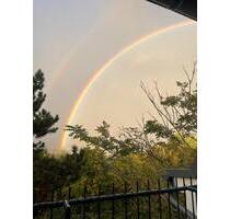 1 Zimmer in zweier Damen WG zu vermieten 150 qm - Wiesbaden Dotzheim