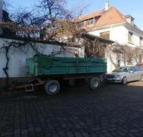 2 Häuser in 55578 St. Johann zu verkaufen. - Wallertheim