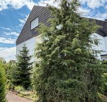 Exklusives, großes und gepflegtes 6 Zimmer-Haus in Giengen - Giengen an der Brenz