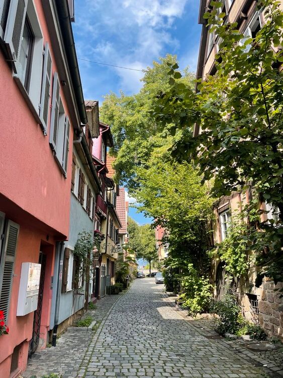 Traumhafte Wohnung in historischer Altstadtgasse in Esslingen - Esslingen am Neckar