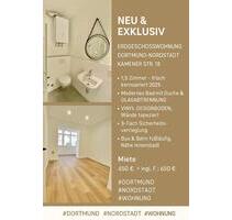 Neue Exclusive Erdgeschoss Wohnung in Dortmund-Nordstadt