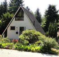 Weihnachten in der Lüneburger Heide, Ferienhaus, Hund möglich - Schneverdingen