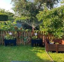 Schrebergarten in Schleswig-Holstein Einfeld - Tasdorf