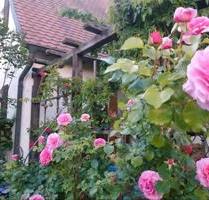 1 WG Zimmer in 120 m² Haus mit Zaubergarten - Abensberg