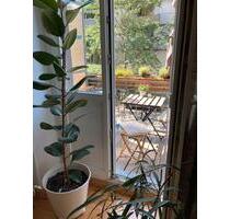 2Zi Wohnung zur Zwischenmiete 5.7.-31.7. - Berlin Pankow