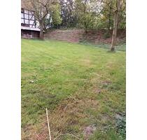 Wiese, Weide, Koppel - 50,00 EUR Kaltmiete, ca.  0,00 m² in Lohmar (PLZ: 53797)