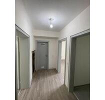 2 Zimmer Wohnung - 1.100,00 EUR Kaltmiete, ca.  50,00 m² in Esslingen am Neckar (PLZ: 73733) Brühl